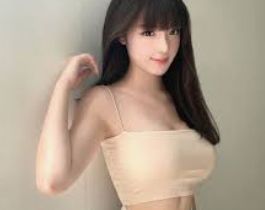 介绍